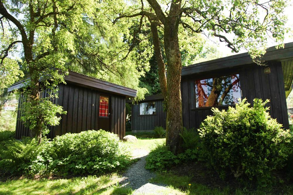 Hjelmeland Hostel Nokling Εξωτερικό φωτογραφία